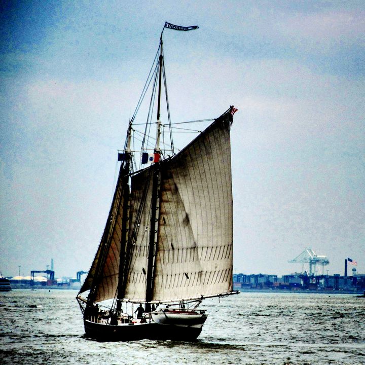 Sailing Free - Amanda Hovseth