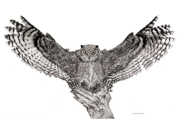 Truth - pbnevins pen and ink art