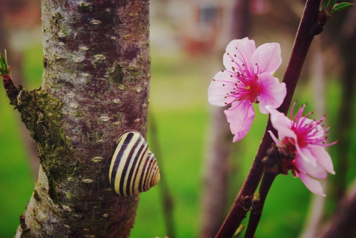 Mala galeria - Photography