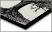 Tree Sketch - D&amp;D Design - Drawings &amp; Illustration, Flowers, Plants ...
