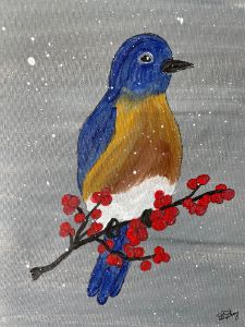 Eastern Bluebird - Diana’s Art