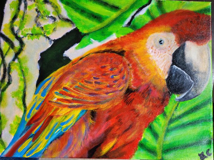 Wild Parrot Gaze - LaCoop designs - Paintings & Prints, Animals, Birds ...