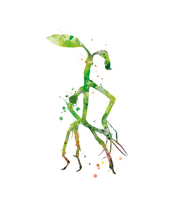 bowtruckle' in Trash Polka Style Tattoos • Search in +1.3M Tattoos Now •  Tattoodo