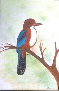 Color pencil art - Hems - Drawings & Illustration, Animals, Birds, & Fish,  Birds, Kingfisher - ArtPal