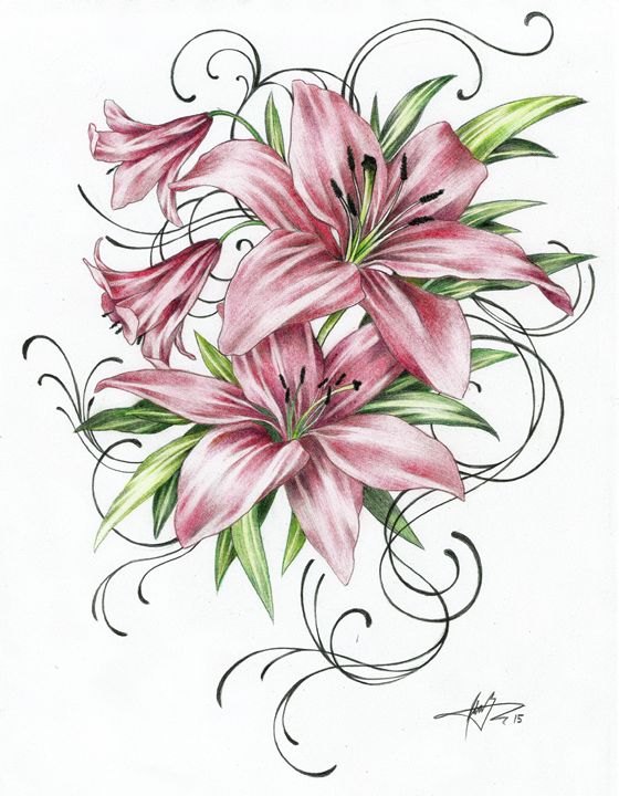 Pink Lily Tattoo by jess-wood on DeviantArt