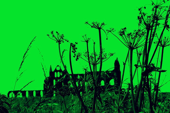 Whitby Abbey in Green - Ali Dunnell Artist