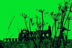 Whitby Abbey in Green