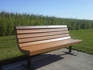 Bench by cornfield