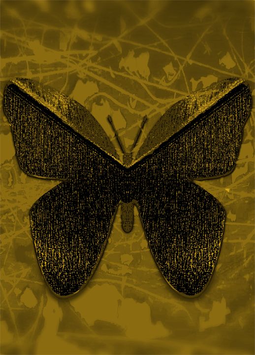 Butterfly - rfmsousa