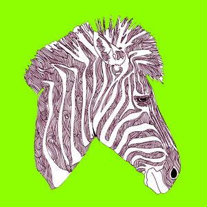 Rainbow Zebra Wildlife Illustration - graphiXperience - Drawings &  Illustration, Animals, Birds, & Fish, Zebras - ArtPal