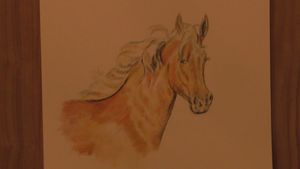 Horse In Colored Pencil