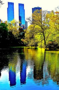 Central Park Pond 4a