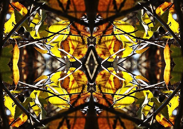 Autumn Stained Glass Leaves - Sherrie Hall