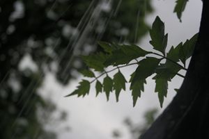 Silver Lining