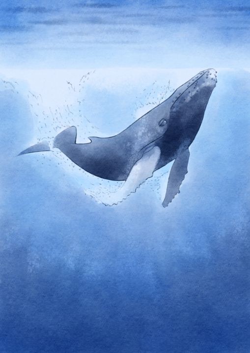 Whale - `Laine