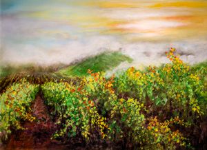 Fog on the Vines