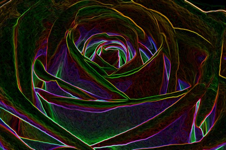 Neon Rose - Mac Tabilis - Digital Art, Flowers, Plants, & Trees, Flowers,  Flowers I-Z, Roses - ArtPal