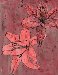 Buy Flowers, Flowers, Plants, & Trees, Drawings & Illustration at ArtPal