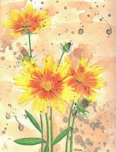 Sunny Flowers