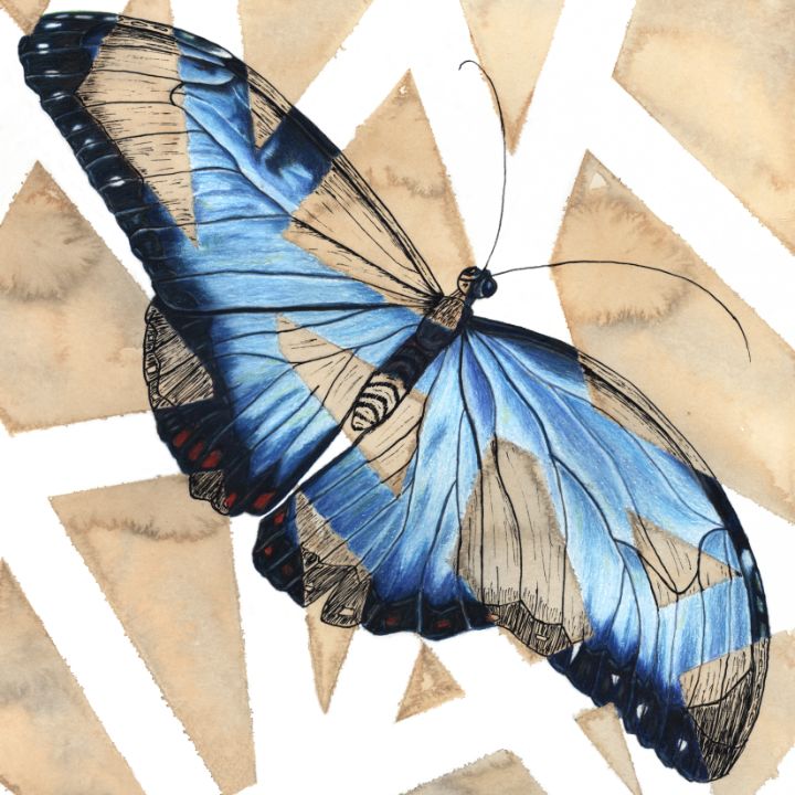 Blue Monarch Butterfly - art by lo - Paintings & Prints, Animals, Birds, &  Fish, Bugs & Insects, Butterflies & Moths - ArtPal