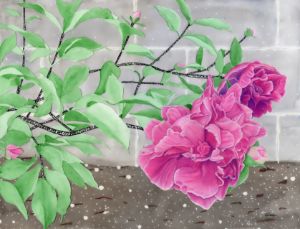Rose and Mandala - Watercolor Mamas - Drawings & Illustration, Flowers,  Plants, & Trees, Flowers, Flowers I-Z, Roses - ArtPal