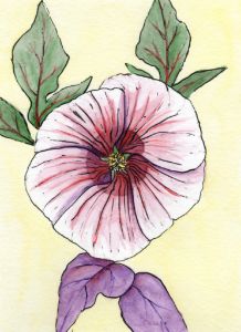 Rose and Mandala - Watercolor Mamas - Drawings & Illustration, Flowers,  Plants, & Trees, Flowers, Flowers I-Z, Roses - ArtPal