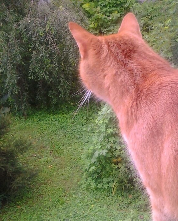 Looking Outwards - Photos