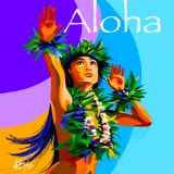 洋書 Aloha Spirit Hawaiian Art &popularDesign Aloha Spirit Hawaiian Art &popularDesign