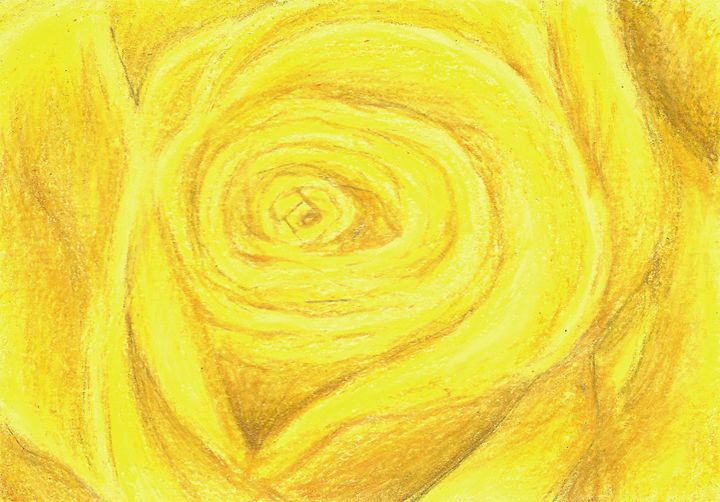 Yellow Rose - Karen White