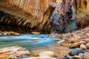 The Narrows (Zion NP)