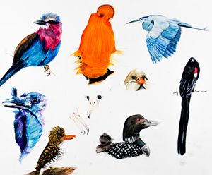 Architectural drawing/Birds wall art - yahviinnovations - Digital Art,  Animals, Birds, & Fish, Birds, Bird of Paradise - ArtPal