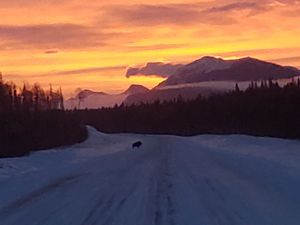 An Alaska Highway Morning