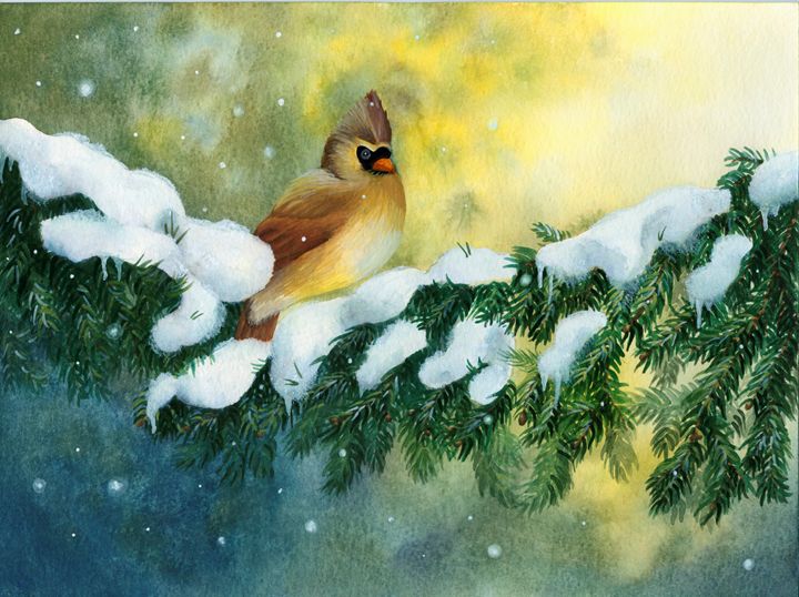 Female Cardinal - Rebekah's Nature Art