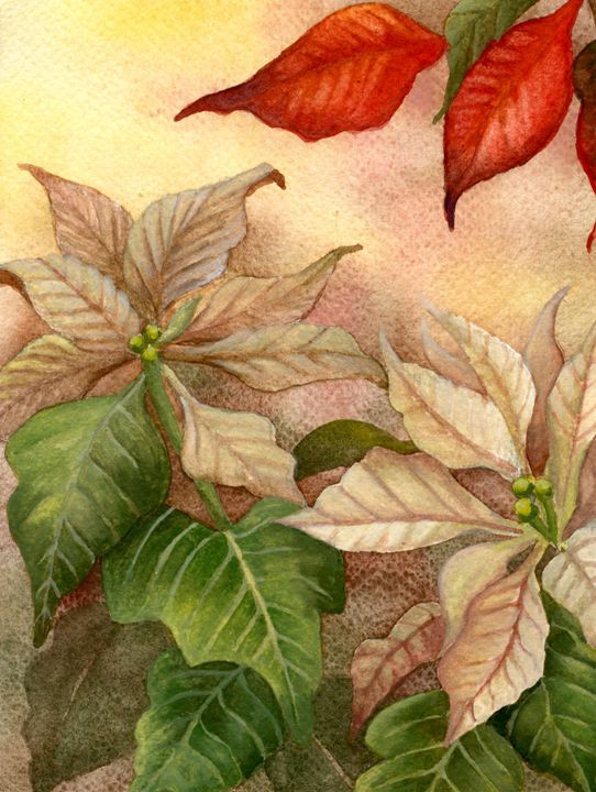 Splash of Holiday Color - Rebekah's Nature Art