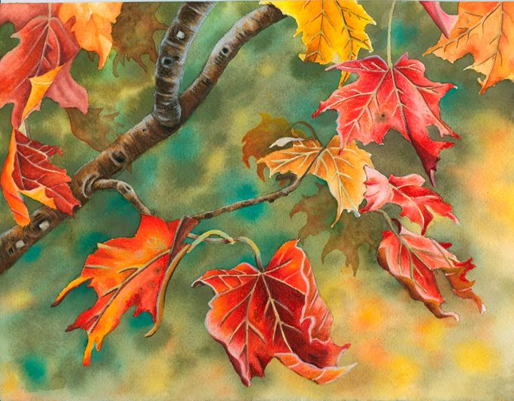 Splash of color - Rebekah's Nature Art