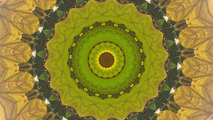 Circle of Leafy Green - JL Robinson