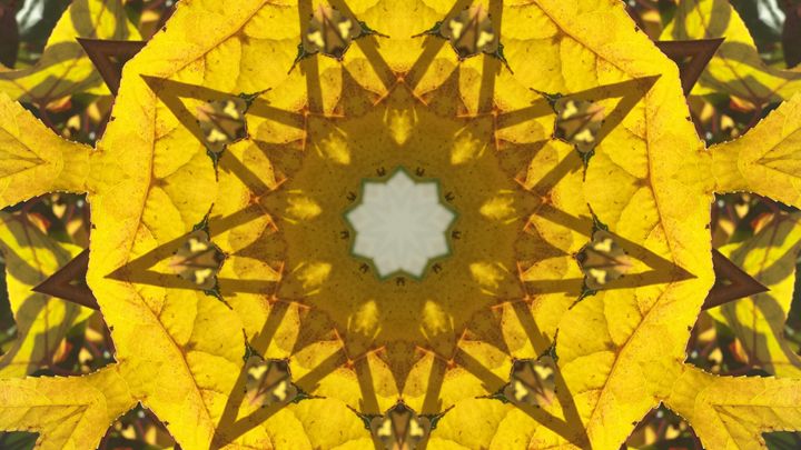 Yellow Kaleidoscope Star - JL Robinson