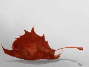 Red Maple Leaf - Art by J.J. Cole