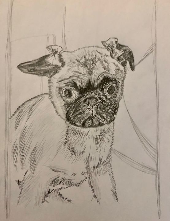 Baby pug with Barrettes - Art by Langston Studios