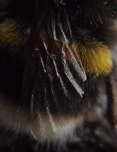 Upclose and personal