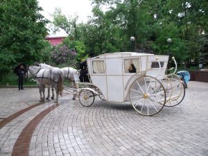 Magical Carriage