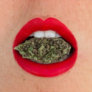 Highness - Marina Kremer