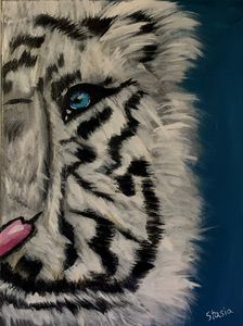 Fluffy White Tiger