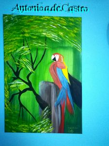 venezuela ARA parrot