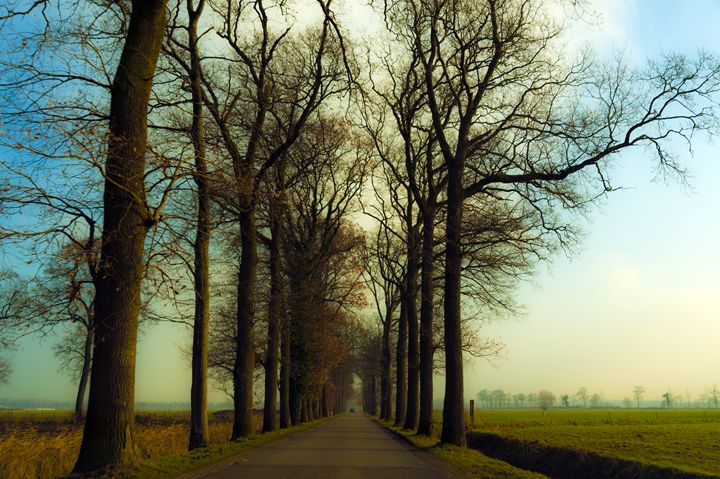 Out of Bruges - Renato Navarro Photography