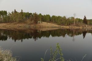 Beaver lake