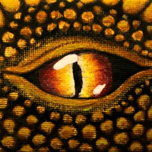 Gold Dragon Close-up of Fire Eye