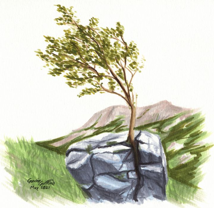Eight - Gavin Gifford Art - Drawings & Illustration, Flowers, Plants ...