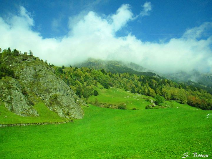 Longlasting Green S. Brown Photography Photography, Landscapes