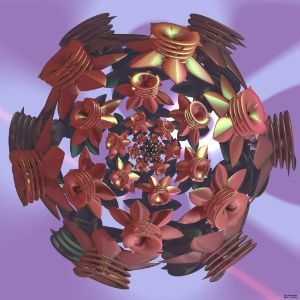 Fr.20232405-2baseshapes-loxodroom
